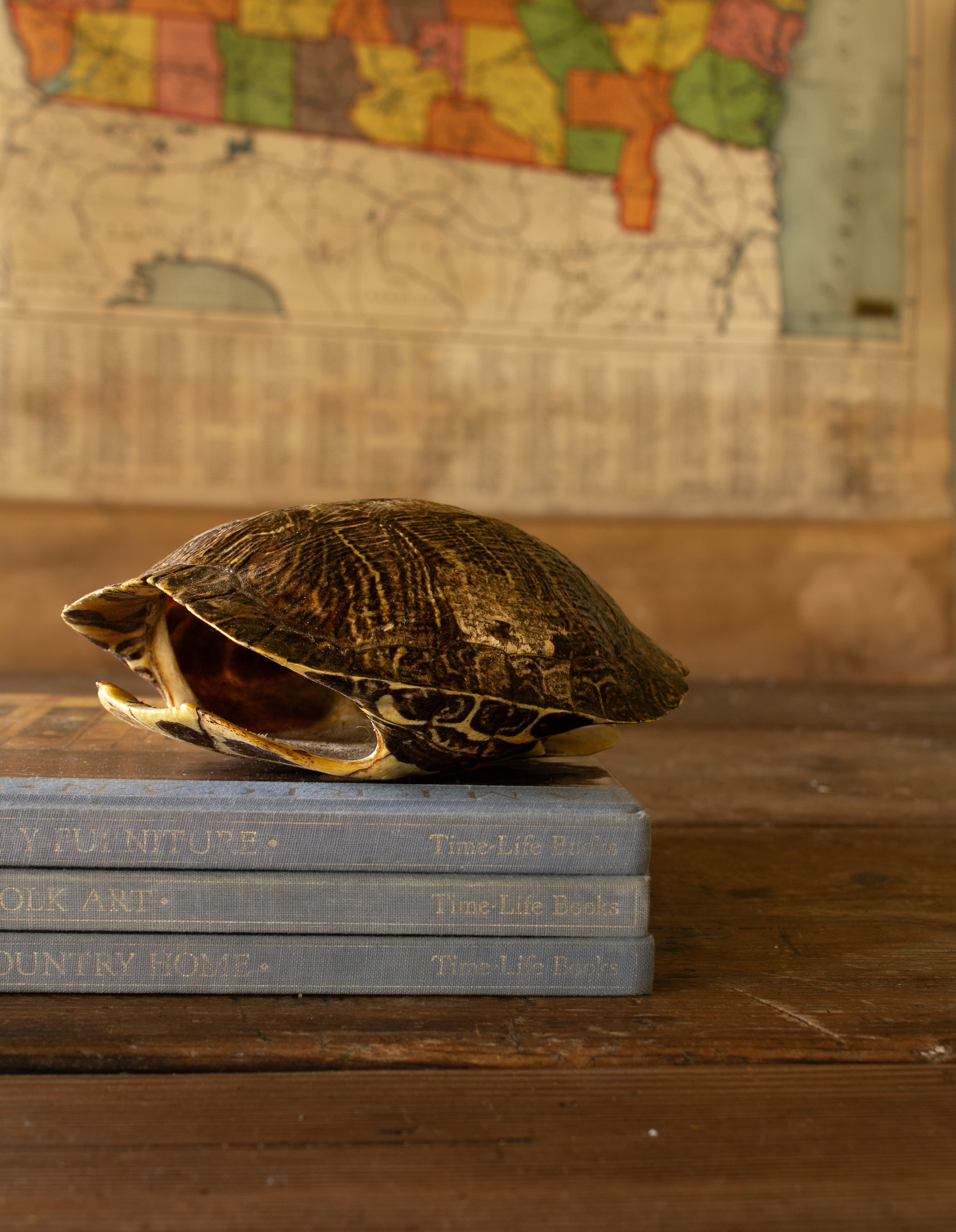 A decorative gold-toned turtle figurine resting on a stack of vintage blue books on a wooden table, with an old map in the background.