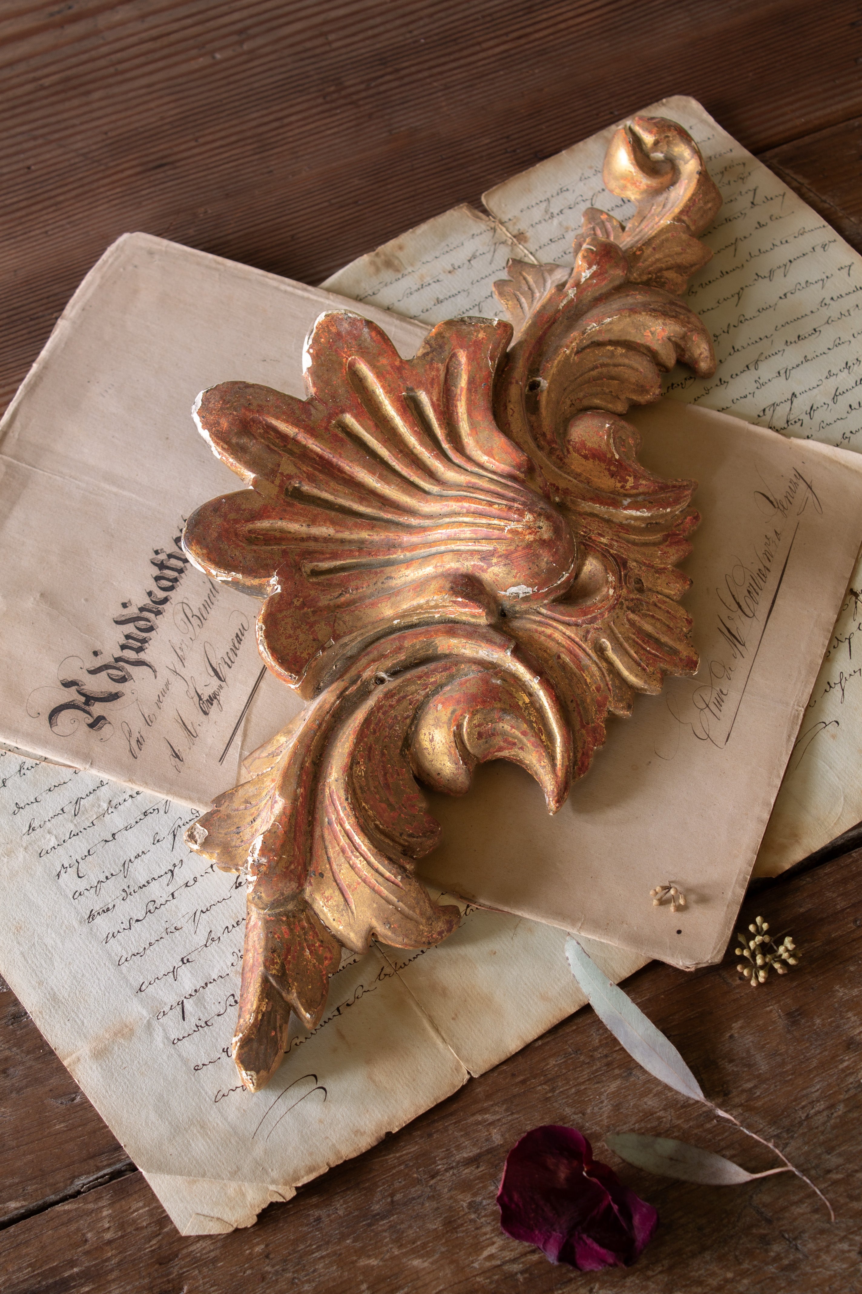 Antique French Rococo Revival carved giltwood shell appliqué with scrolling foliage, worn gilding, red bole, gesso, and architectural salvage surface