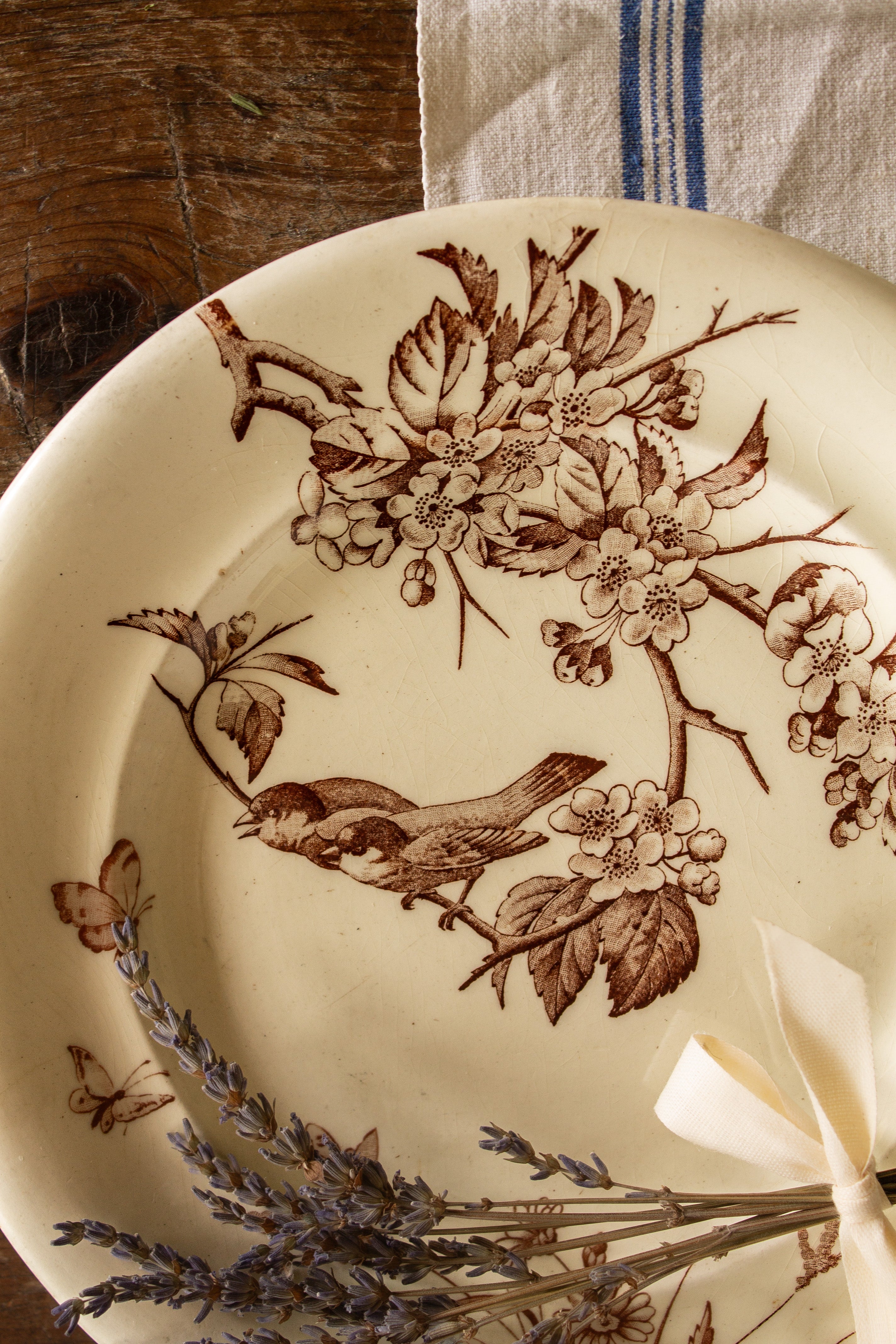 Terre de Fer CLAIRE FONTAINE アンティークプレート Antique French S&G Flowers Terre de Fer Bird Plate, Clairefontaine